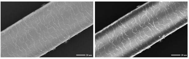 毛发样品.jpg 毛发样品.jpg