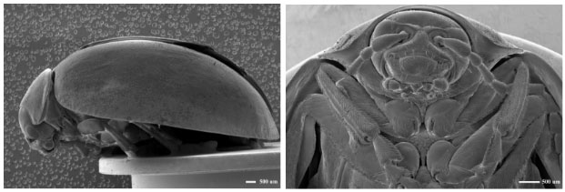 大视�?1.jpg 大视�?1.jpg