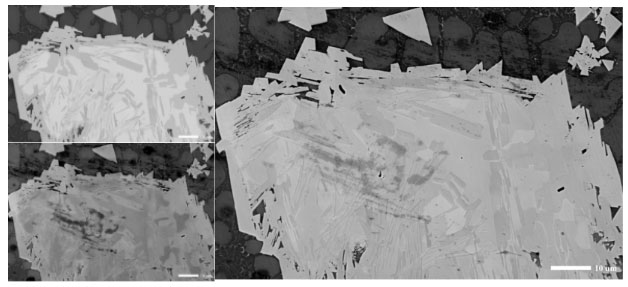 多种信息同时成像.jpg 多种信息同时成像.jpg