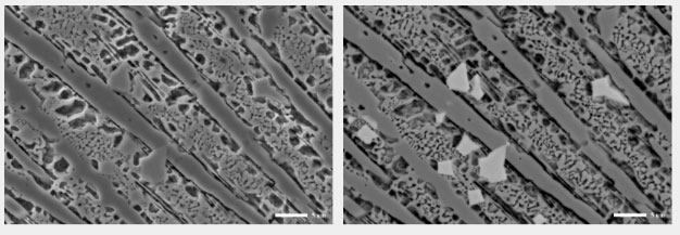 钨钢合金样品.jpg 钨钢合金样品.jpg